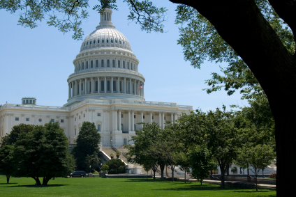U.S. Capitol Building