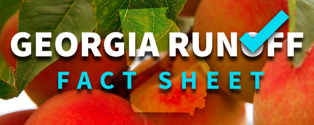 Georgia Runoff Factsheet